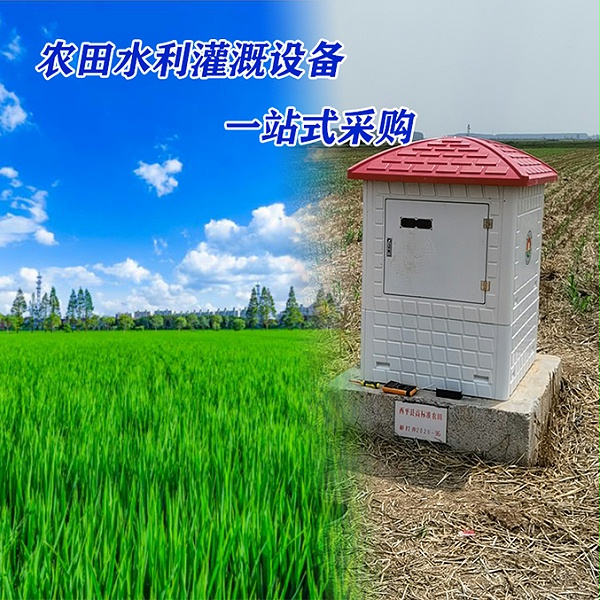 31 31