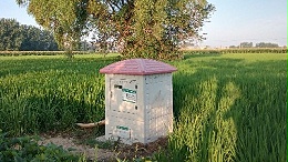 水电双计机井灌溉控制器,农田灌溉产品