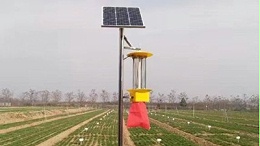 智能灌溉-太阳能杀虫灯