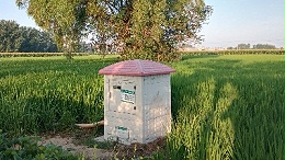 水电双计量智能灌溉控制系统_仁铭电气_批发厂家