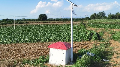 智能灌溉-农村浇地电表箱_仁铭_室外型灌溉控制箱_源头公司