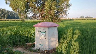 室外灌溉控制器 节水灌溉控制箱