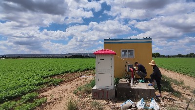 一体化水电双计控制器 智能灌溉射频卡仁铭电气厂家