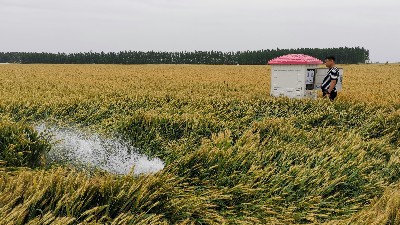 智能灌溉-智慧农业设备和方案供应